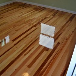 Hardwood 11